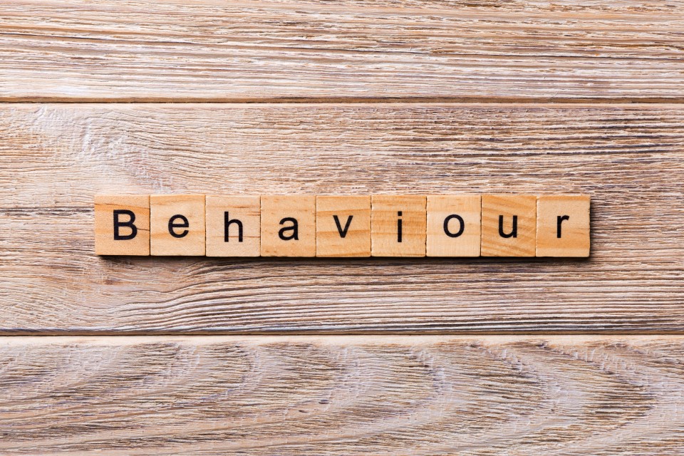 Behaviour on a wooden background.