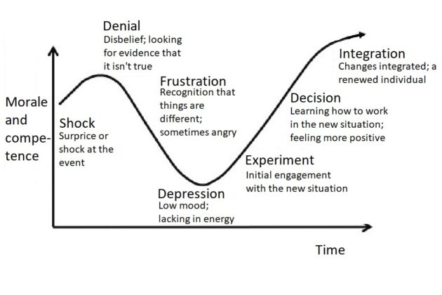 The change curve shows the stages: shock, denial, frustration, depression, experiment, decision, integration.